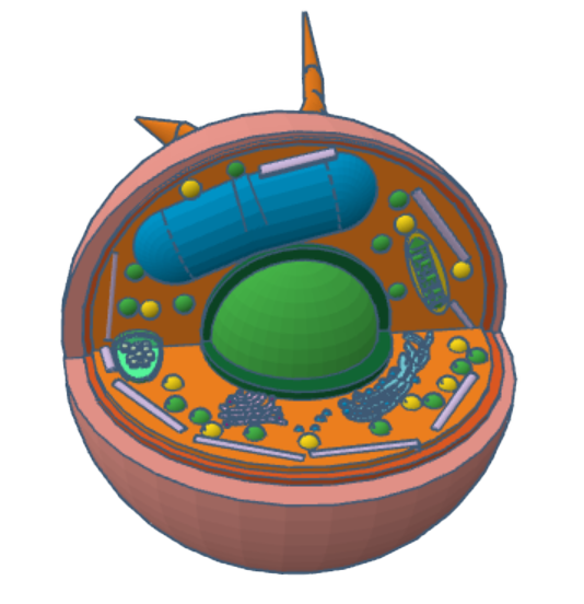 Protist Cell